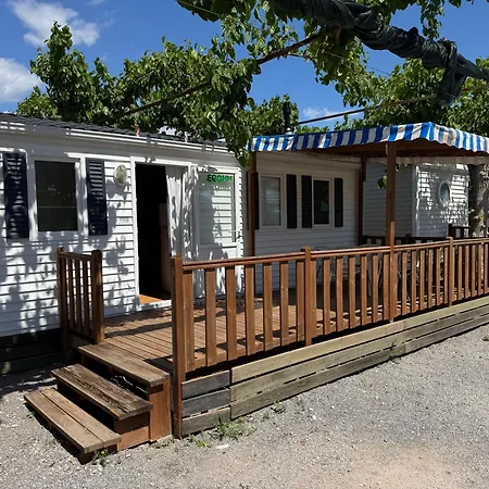 Camping Naranjos Moncófar