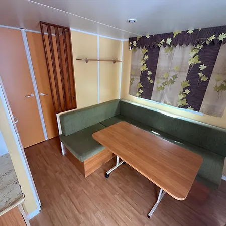 Naranjos Campeggio *