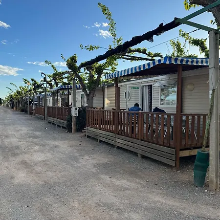 Naranjos Campingplads Moncófar
