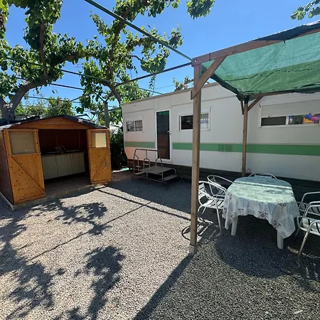 Naranjos Campingplads Moncófar
